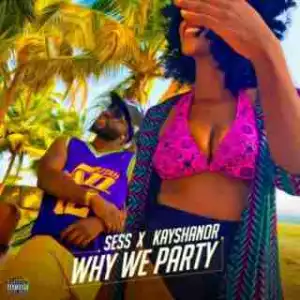 Sess - Why We Party Ft. Kayshanor